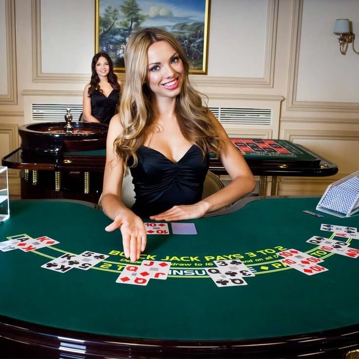 suncity casino